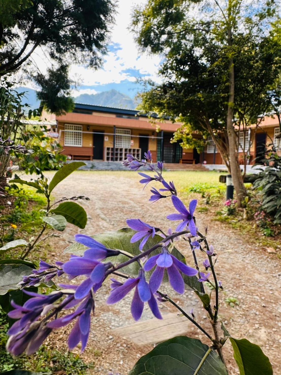 Go Bill B&B Xinyi Bagian luar foto